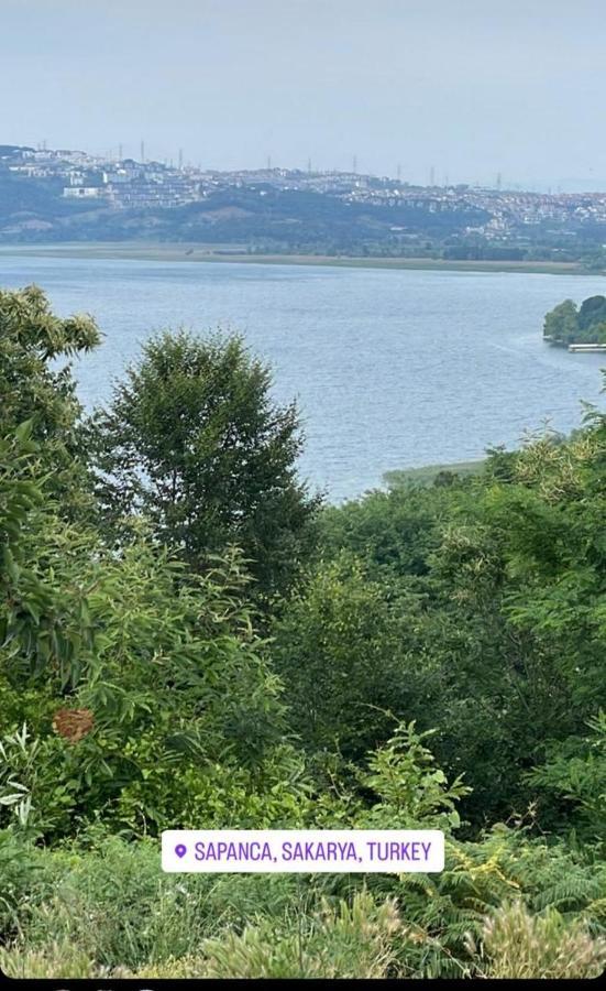 Sapanca Manzara Villa 1 Isitma Havuzlu エクステリア 写真