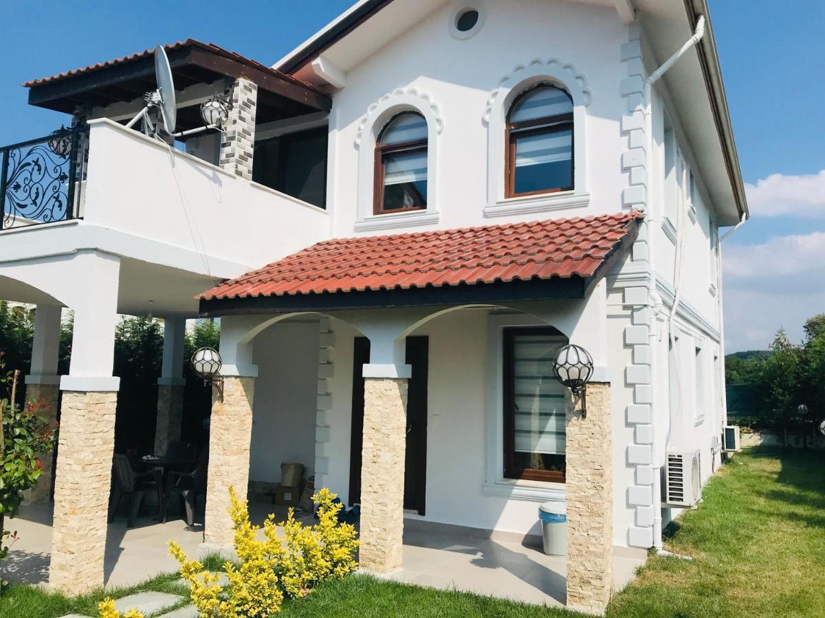 Sapanca Manzara Villa 1 Isitma Havuzlu エクステリア 写真