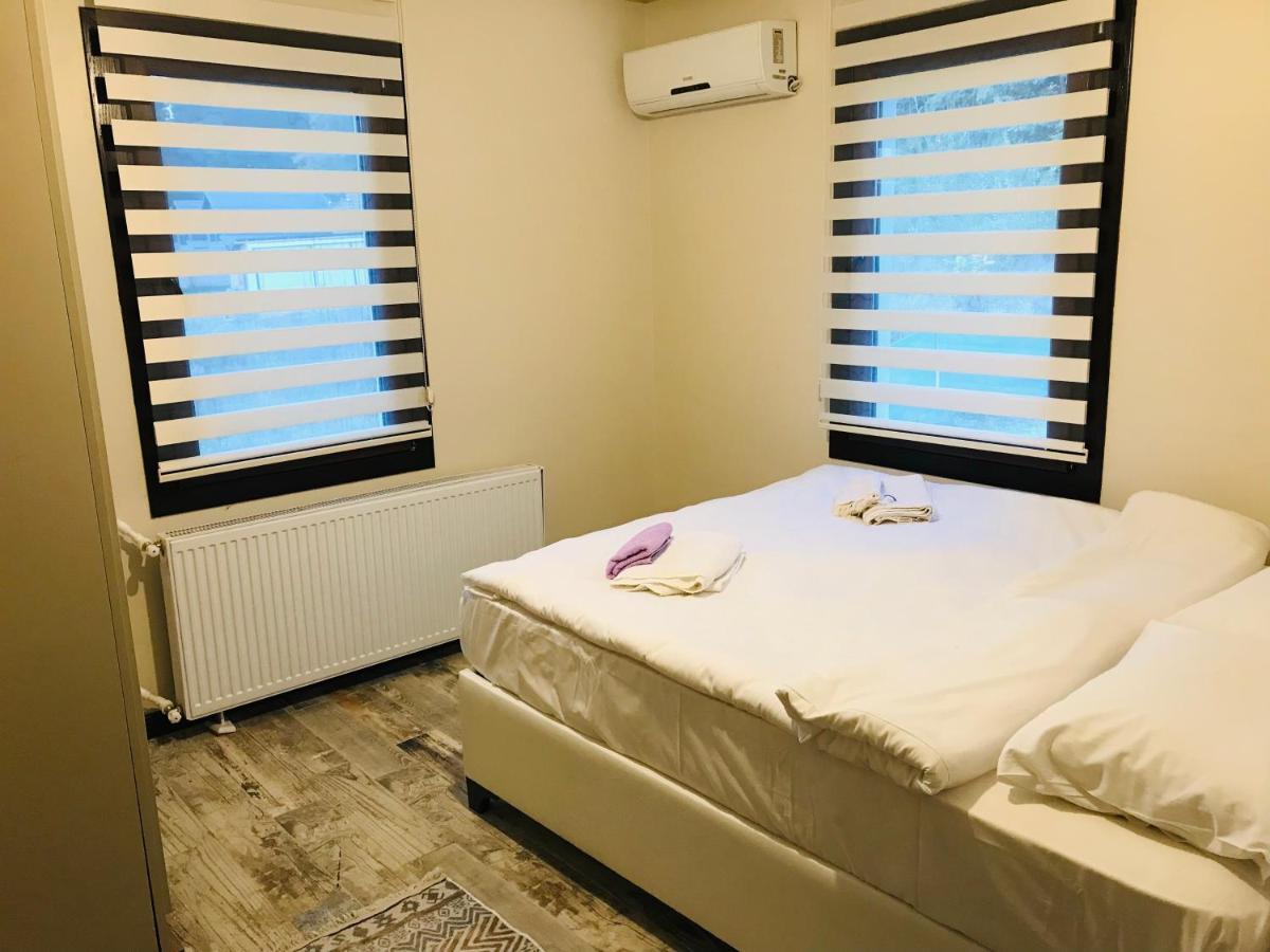 Sapanca Manzara Villa 1 Isitma Havuzlu エクステリア 写真
